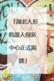 湖北人形机器人创新中心正式揭牌