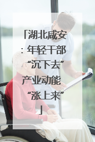湖北咸安：年轻干部“沉下去” 产业动能“涨上来”