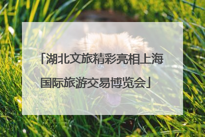 湖北文旅精彩亮相上海国际旅游交易博览会