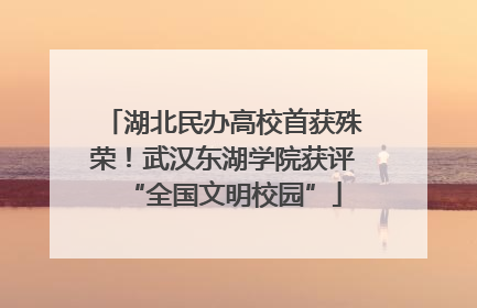 湖北民办高校首获殊荣！武汉东湖学院获评“全国文明校园”
