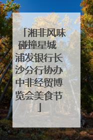 湘非风味碰撞星城 浦发银行长沙分行协办中非经贸博览会美食节