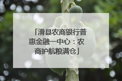 滑县农商银行普惠金融一中心：农商护航粮满仓