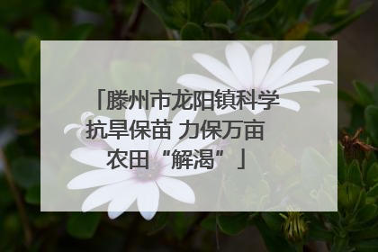 滕州市龙阳镇科学抗旱保苗 力保万亩农田“解渴”