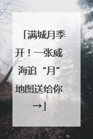 满城月季开！一张威海追“月”地图送给你→