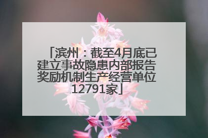 滨州：截至4月底已建立事故隐患内部报告奖励机制生产经营单位12791家