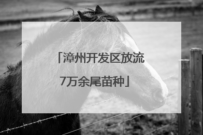 漳州开发区放流7万余尾苗种