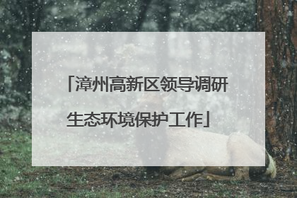 漳州高新区领导调研生态环境保护工作