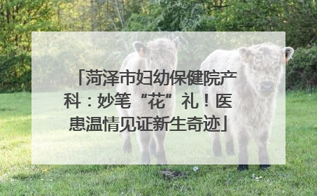 菏泽市妇幼保健院产科：妙笔“花”礼！医患温情见证新生奇迹