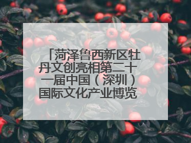 菏泽鲁西新区牡丹文创亮相第二十一届中国（深圳）国际文化产业博览交易会