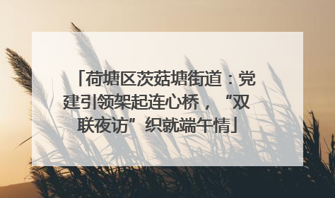 荷塘区茨菇塘街道：党建引领架起连心桥，“双联夜访”织就端午情