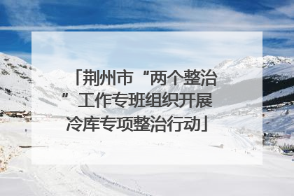 荆州市“两个整治”工作专班组织开展冷库专项整治行动