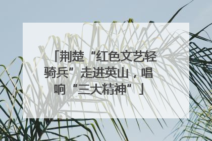 荆楚“红色文艺轻骑兵”走进英山，唱响“三大精神”