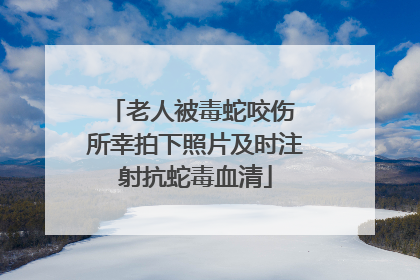 老人被毒蛇咬伤 所幸拍下照片及时注射抗蛇毒血清
