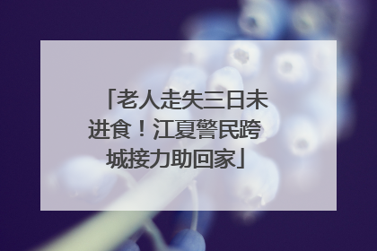 老人走失三日未进食！江夏警民跨城接力助回家
