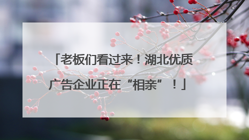 老板们看过来！湖北优质广告企业正在“相亲”！