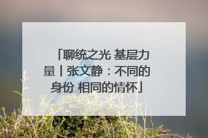 聊统之光 基层力量丨张文静：不同的身份 相同的情怀