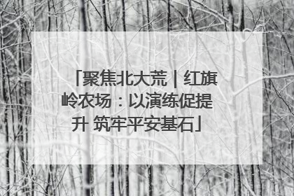 聚焦北大荒｜红旗岭农场：以演练促提升 筑牢平安基石