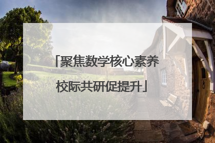 聚焦数学核心素养 校际共研促提升