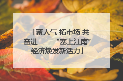 聚人气 拓市场 共奋进——“塞上江南”经济焕发新活力
