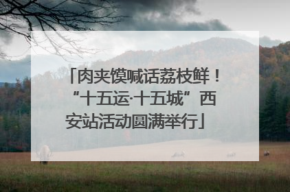 肉夹馍喊话荔枝鲜！“十五运·十五城”西安站活动圆满举行
