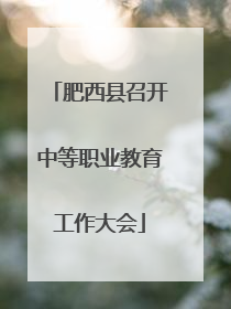 肥西县召开中等职业教育工作大会
