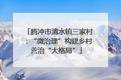 腾冲市清水镇三家村：“微治理”构建乡村善治“大格局”