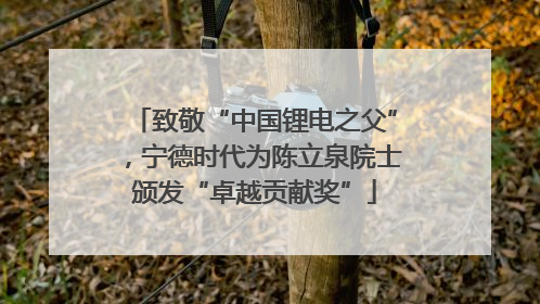 致敬“中国锂电之父”，宁德时代为陈立泉院士颁发“卓越贡献奖”