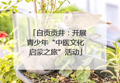 自贡贡井：开展青少年“中医文化启蒙之旅”活动