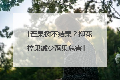 芒果树不结果？抑花控果减少落果危害
