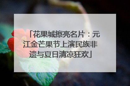 花果城擦亮名片：元江金芒果节上演民族非遗与夏日清凉狂欢