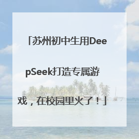 苏州初中生用DeepSeek打造专属游戏，在校园里火了！
