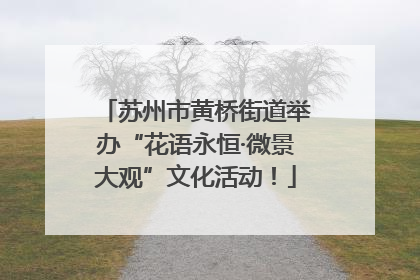 苏州市黄桥街道举办“花语永恒·微景大观”文化活动！
