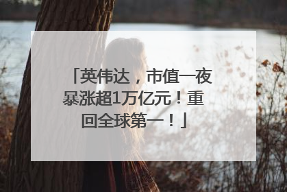 英伟达，市值一夜暴涨超1万亿元！重回全球第一！