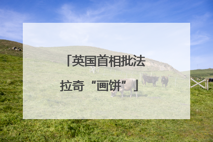 英国首相批法拉奇“画饼”