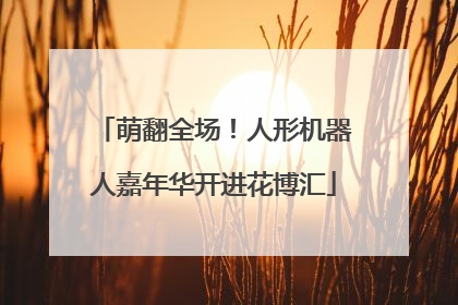 萌翻全场！人形机器人嘉年华开进花博汇