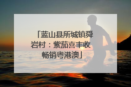蓝山县所城镇舜岩村：紫茄喜丰收 畅销粤港澳