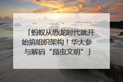蚂蚁从恐龙时代就开始搞组织架构！华大参与解码“昆虫文明”