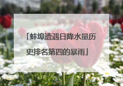 蚌埠遭遇日降水量历史排名第四的暴雨