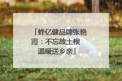 蜂亿健品牌张艳霞：不忘故土根 温暖送乡亲