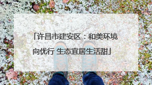 许昌市建安区：和美环境向优行 生态宜居生活甜