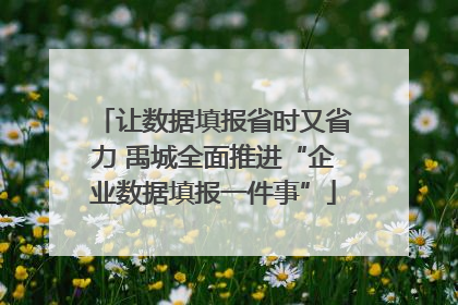 让数据填报省时又省力 禹城全面推进“企业数据填报一件事”