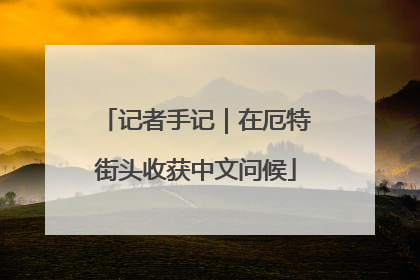 记者手记｜在厄特街头收获中文问候