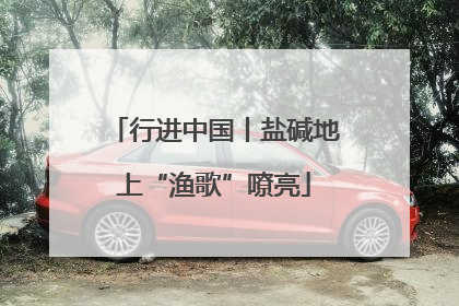 行进中国丨盐碱地上“渔歌”嘹亮