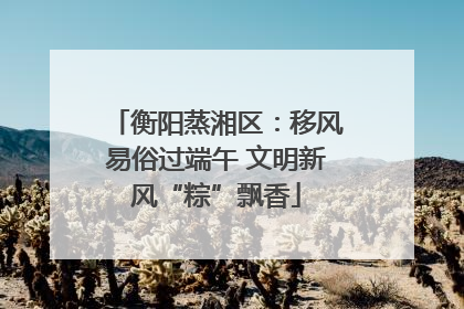 衡阳蒸湘区：移风易俗过端午 文明新风“粽”飘香
