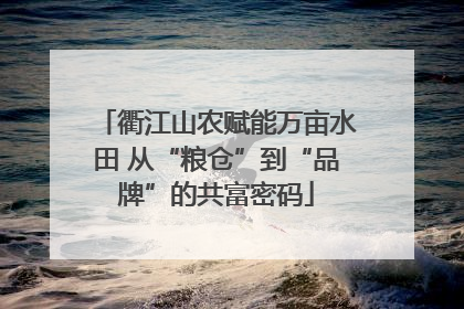 衢江山农赋能万亩水田 从“粮仓”到“品牌”的共富密码