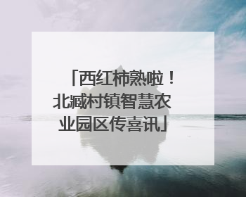 西红柿熟啦！北臧村镇智慧农业园区传喜讯