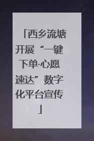 西乡流塘开展“一键下单·心愿速达”数字化平台宣传
