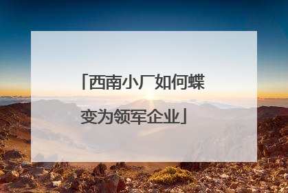 西南小厂如何蝶变为领军企业