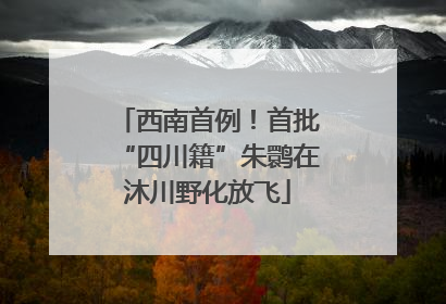 西南首例！首批“四川籍”朱鹮在沐川野化放飞