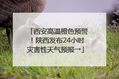 西安高温橙色预警！陕西发布24小时灾害性天气预报→